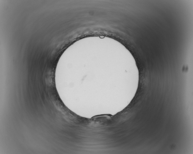X0000110741490200907131108