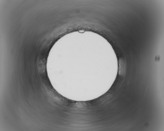X0000110741491200907131108