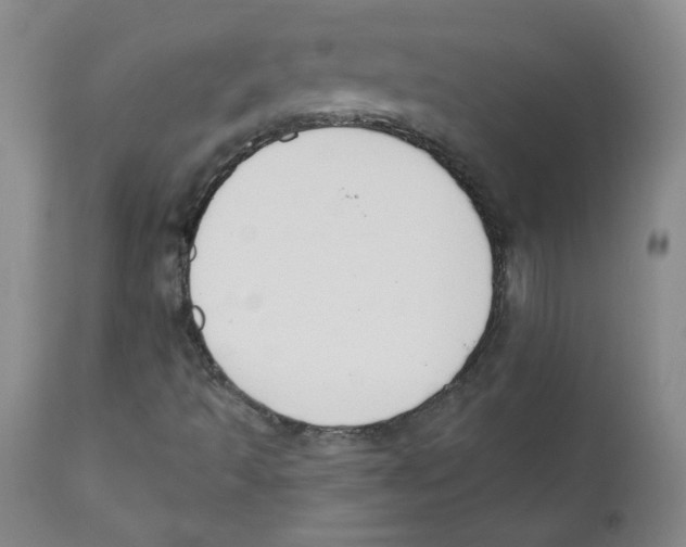 X0000110741493200907131108