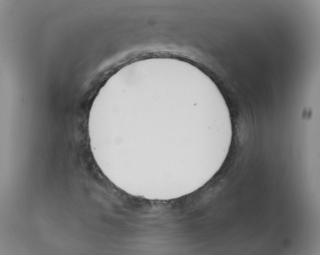 X0000110741494200907131108