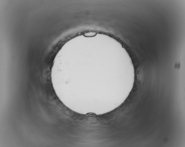 X0000110741495200907131108