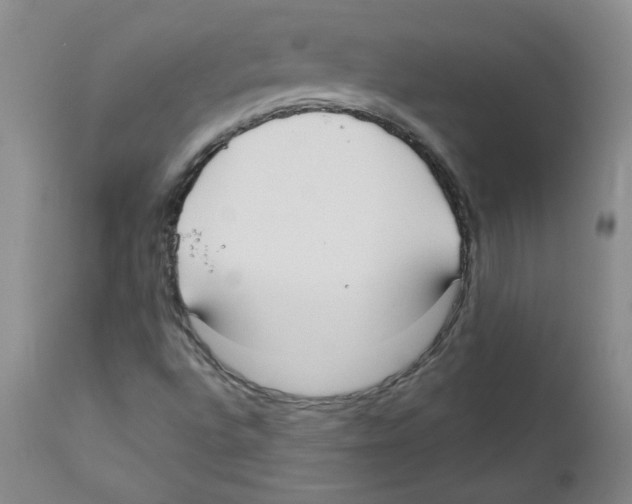 X0000110741496200907131108