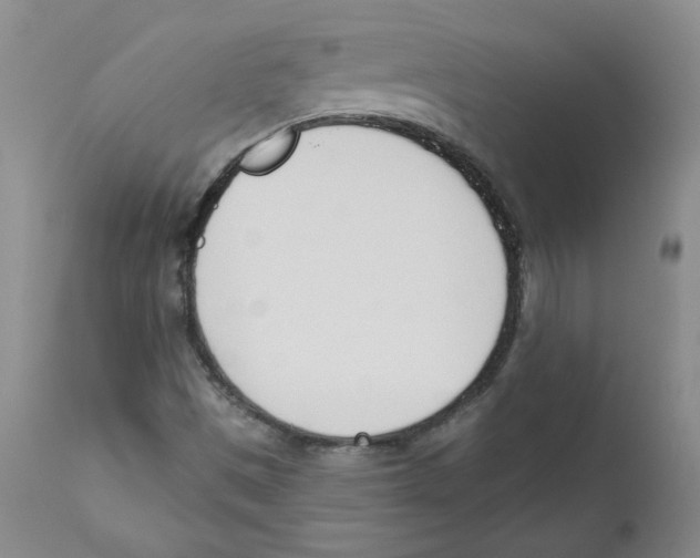 X0000110741497200907131108