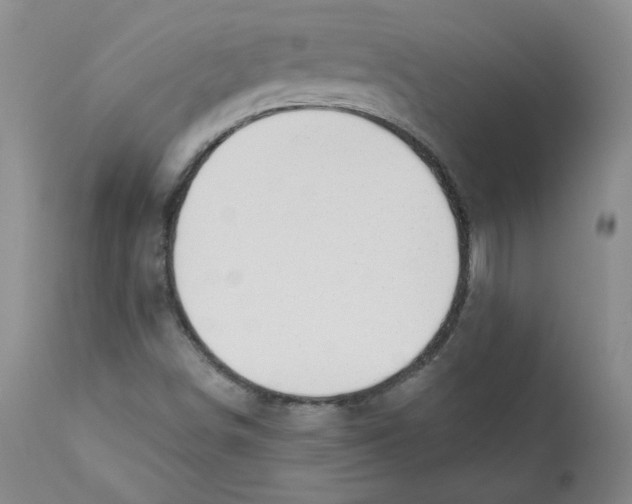 X0000110741498200907131108