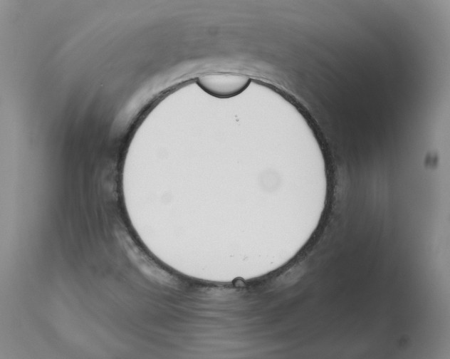 X0000110741499200907131108
