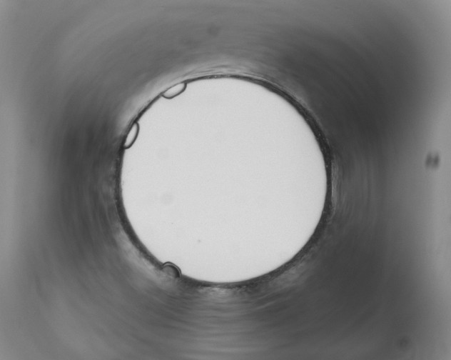 X0000110741500200907131108