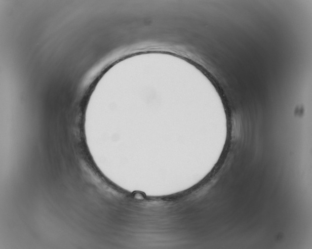X0000110741502200907131108