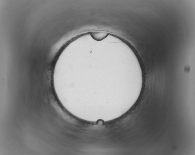 X0000110741503200907131108