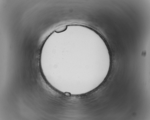 X0000110741504200907131108