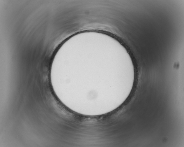 X0000110741505200907131108