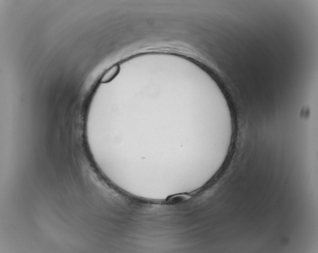 X0000110741506200907131108