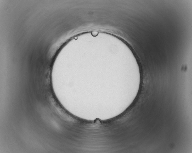 X0000110741507200907131108