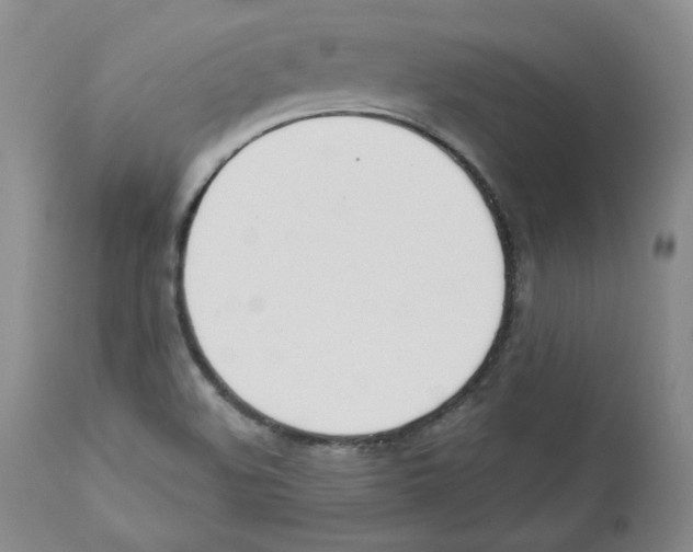X0000110741508200907131108