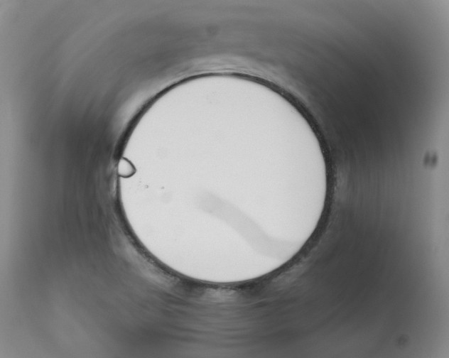 X0000110741509200907131108