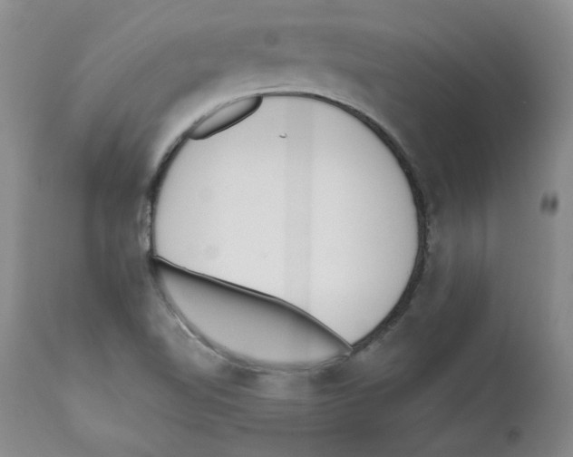 X0000110741510200907131108