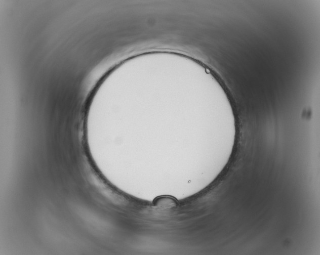 X0000110741511200907131108