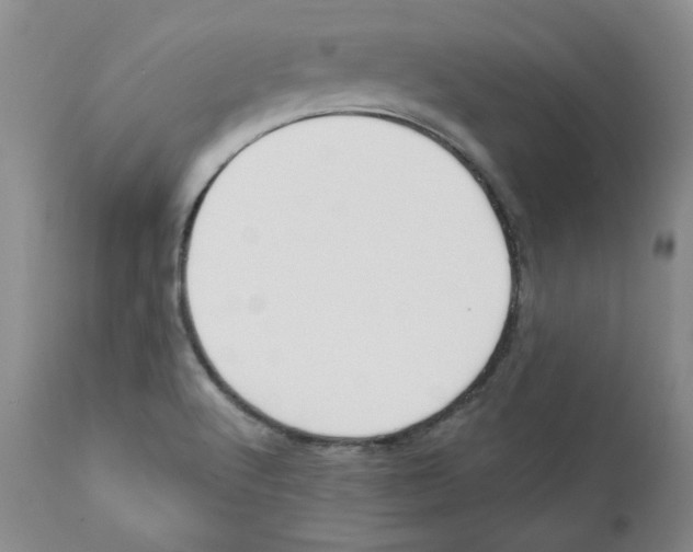 X0000110741512200907131108