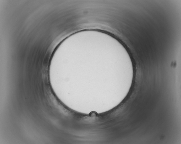 X0000110741513200907131108