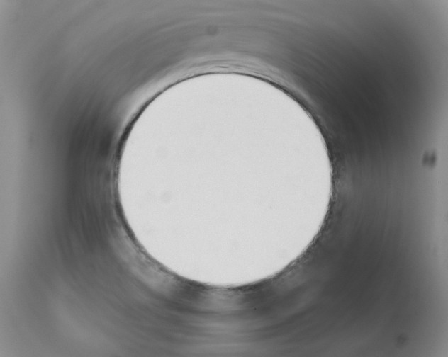 X0000110741514200907131108