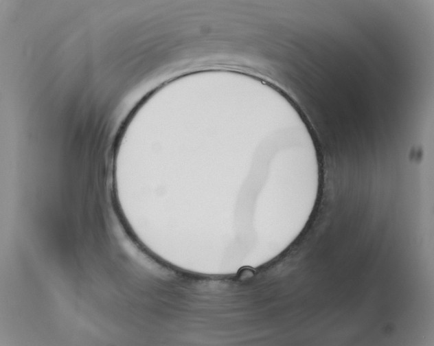 X0000110741515200907131108