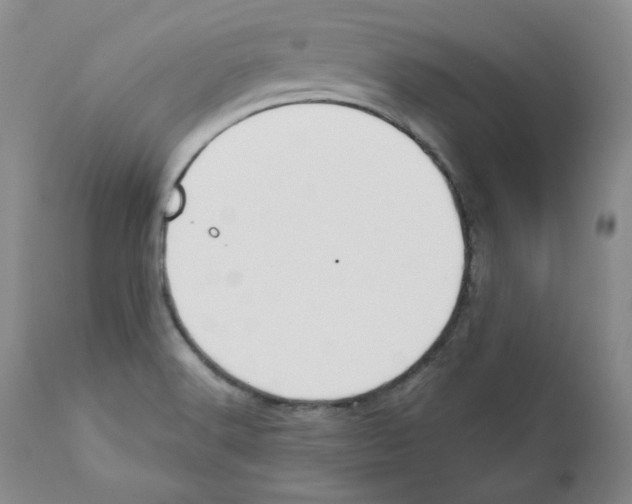 X0000110741516200907131108