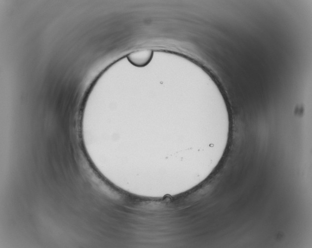 X0000110741517200907131108