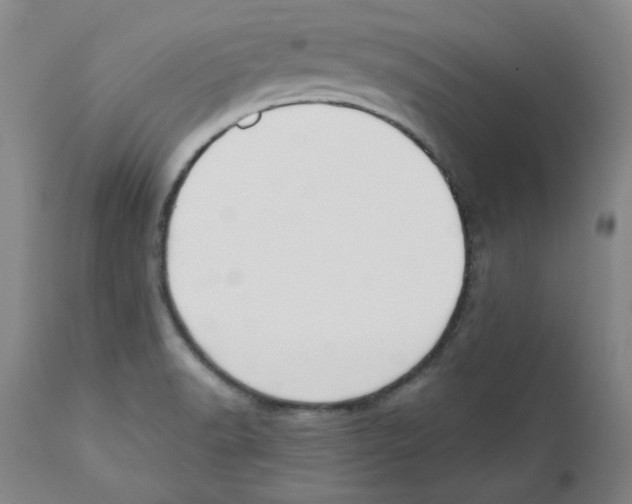 X0000110741518200907131108
