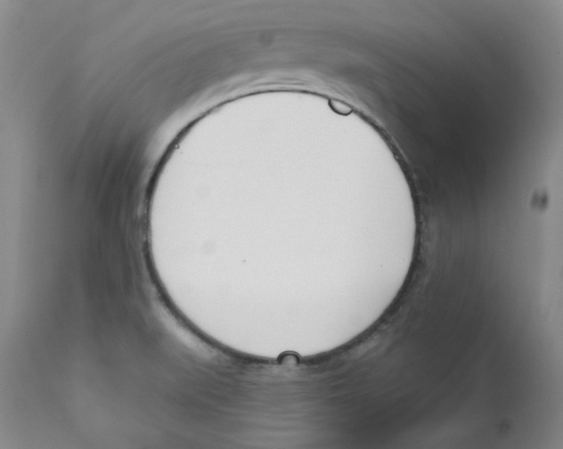 X0000110741519200907131108