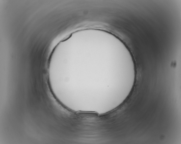 X0000110741520200907131108
