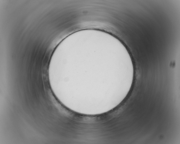 X0000110741521200907131108