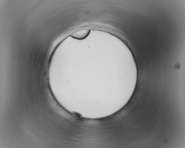 X0000110741522200907131108