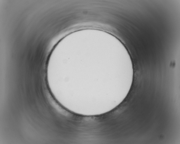 X0000110741523200907131108