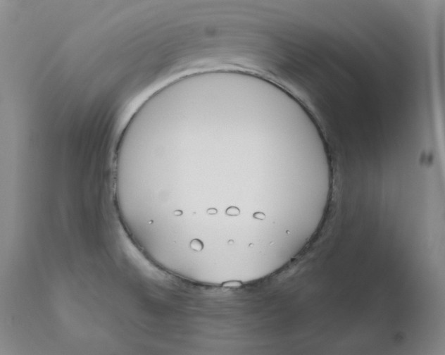 X0000110741524200907131108