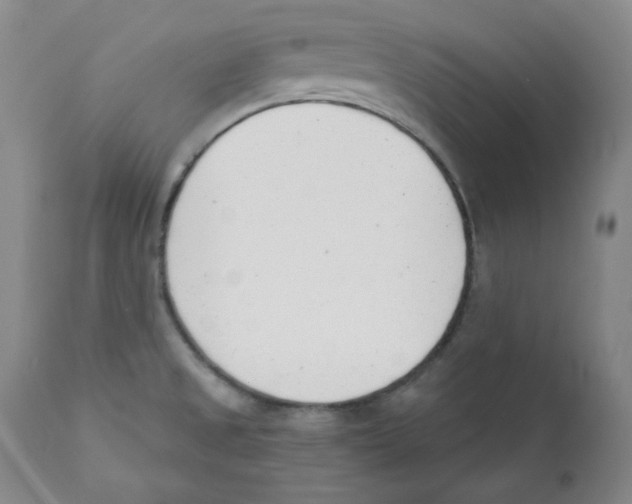 X0000110741525200907131109