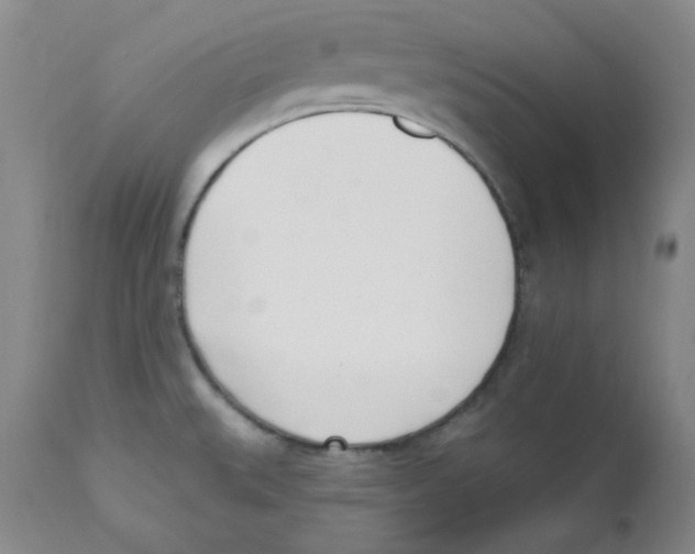 X0000110741527200907131109