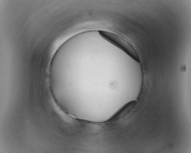 X0000110741528200907131109