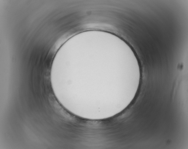 X0000110741529200907131109