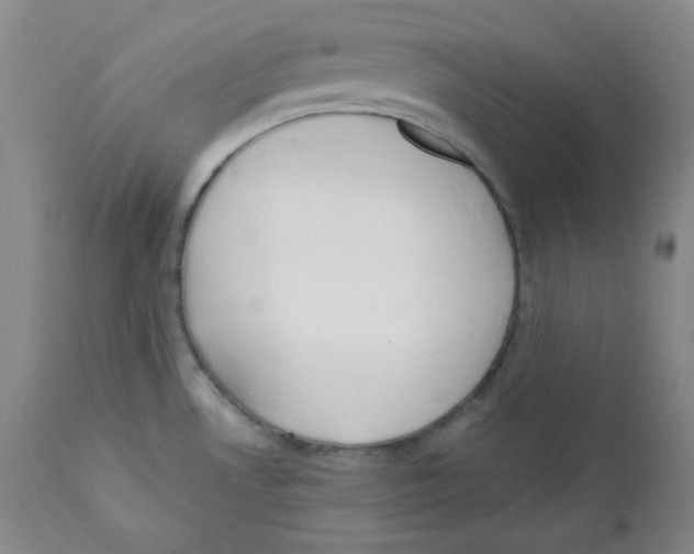 X0000110741530200907131109