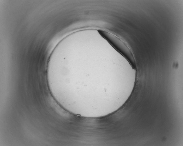 X0000110741532200907131109