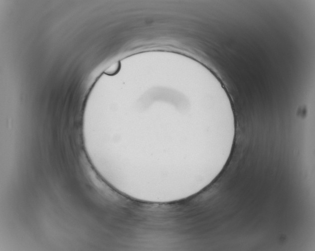 X0000110741534200907131109