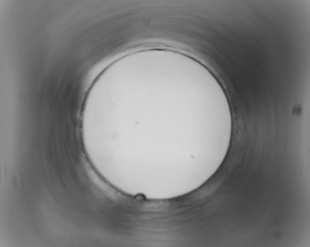 X0000110741535200907131109
