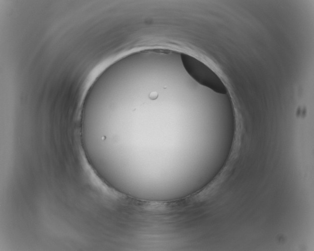 X0000110741536200907131109