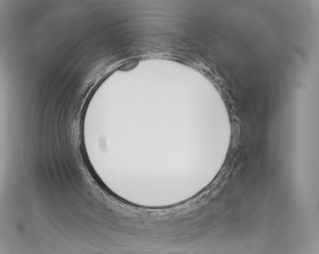 X0000110740002200907271111