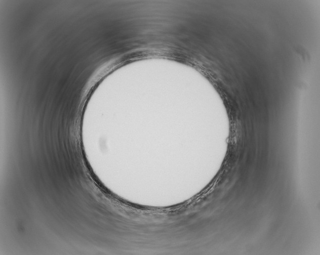 X0000110740004200907271111