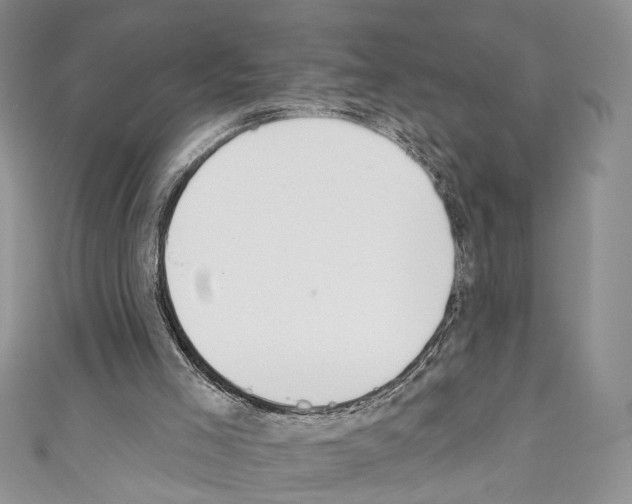 X0000110740005200907271111