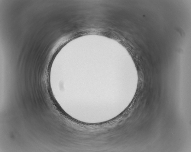 X0000110740006200907271111