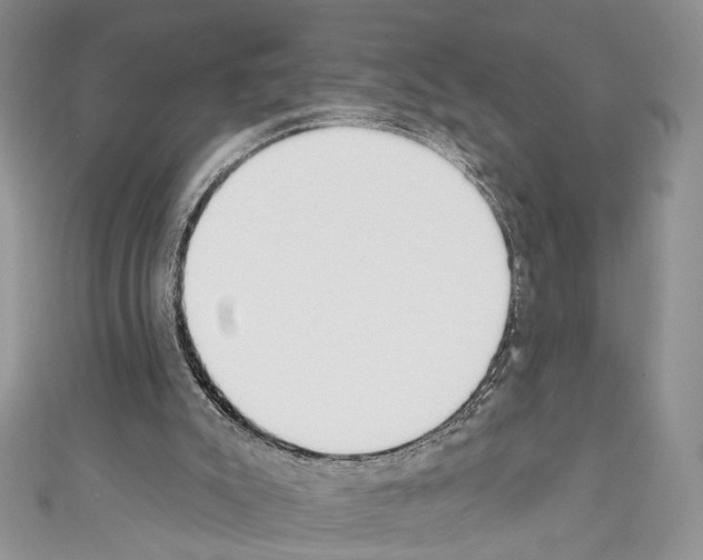 X0000110740007200907271111