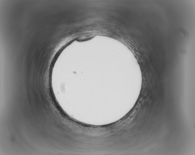 X0000110740008200907271111