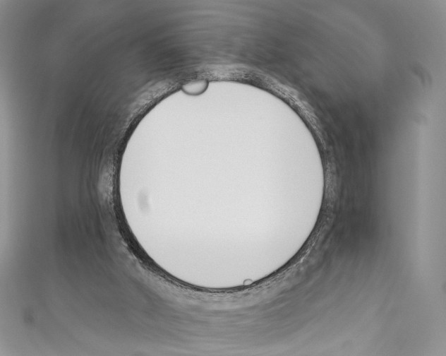 X0000110740010200907271111
