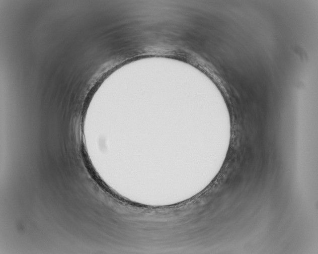 X0000110740011200907271111